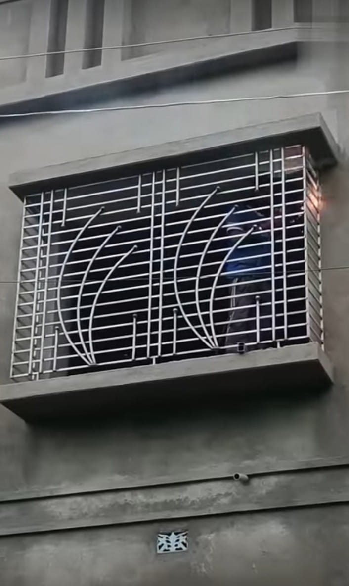 লিফ ডিজাইন উইন্ডো গ্রিল